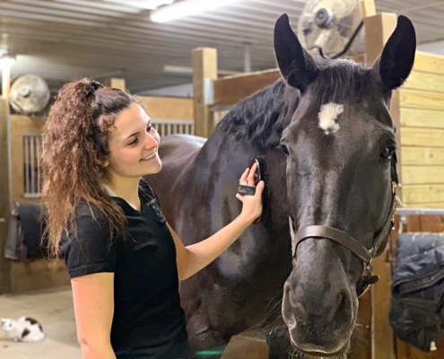 best horse bedding