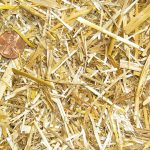 chopped straw horse-bedding