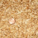 mini shavings bedding for horses