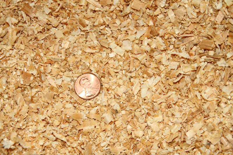 mini shavings bedding for horses